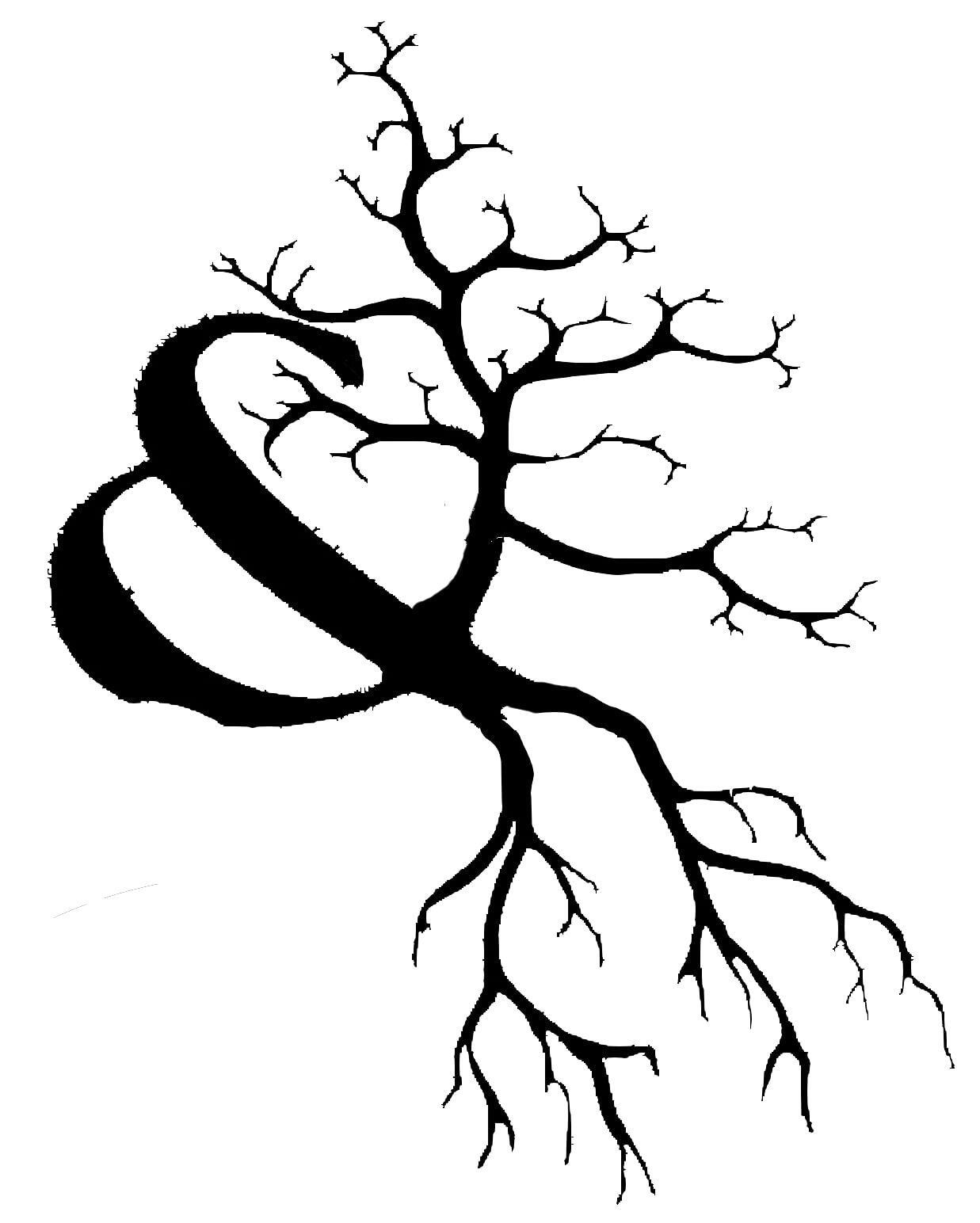 Root & Branch